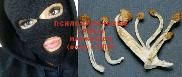 марки lsd Вяземский