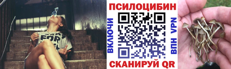 Галлюциногенные грибы мицелий  Березники 